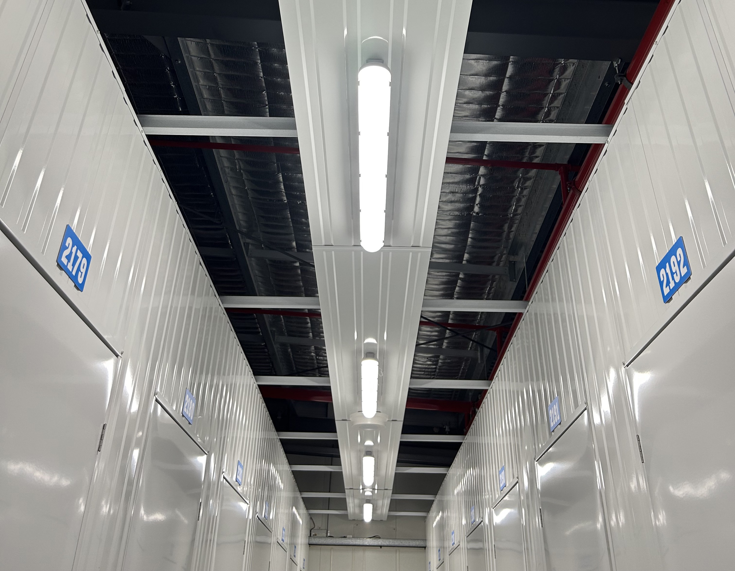 Janus Lighting Trays